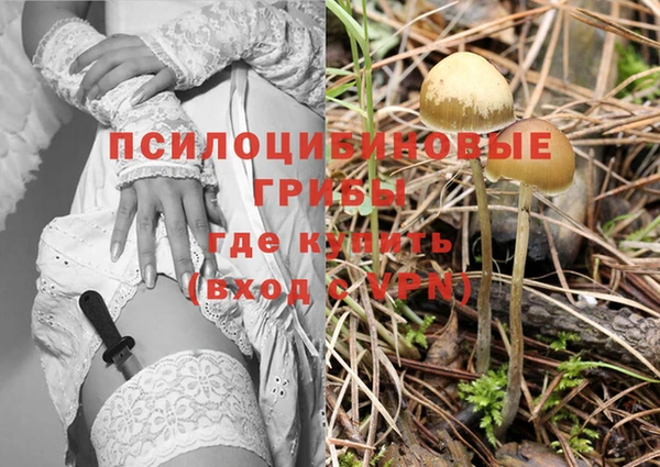молекула духа Козловка